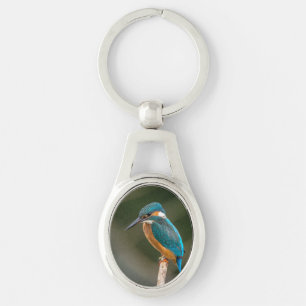 Porte-clés Martin-pêcheur