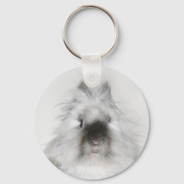 Porte-clés Mauvais porte - clé de lapin de jour (Recto)