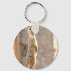 Porte-clés Meerkat au porte - clé d'attention