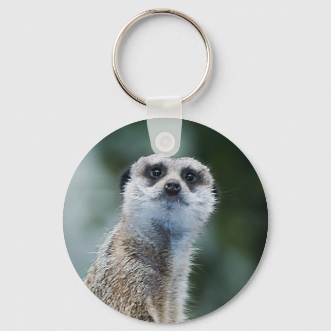 Porte-clés Meerkat Porte - clé (Recto)