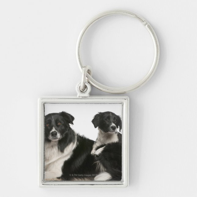 Porte-clés Mère border collie et chiot (Devant)