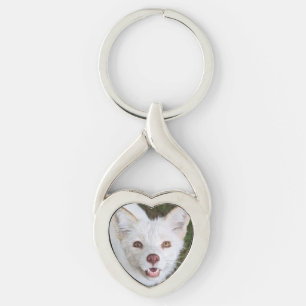 Porte-clés métallique en coco Wild Paws