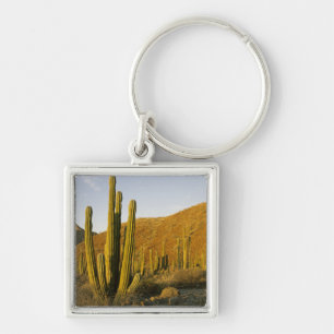 Porte-clés Mexique, Baja, Père Noël, île de Catalina, mer 