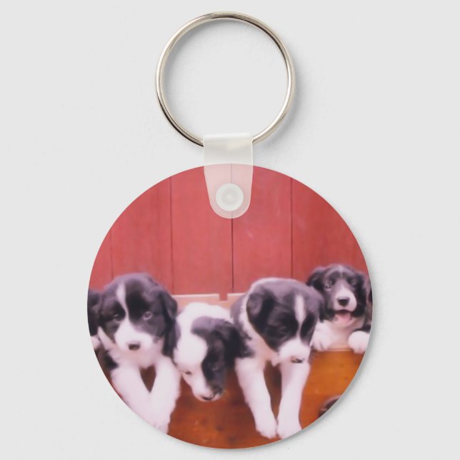 Porte-clés Mignonne frontière Collie Porte - clé Puppies (Recto)