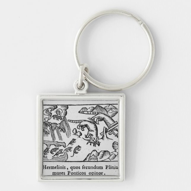 Porte-clés Migration des lemmings (Devant)