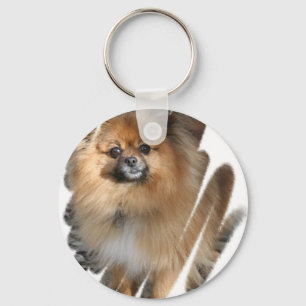 Porte-clés Miniature Porte - clé de Poméranie