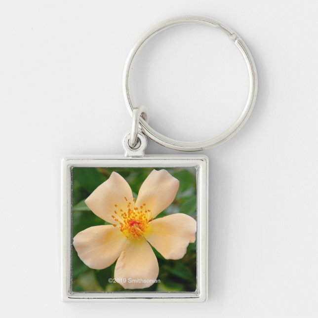 Porte-clés Mme Oakley Fisher Rose (Devant)