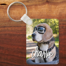 Modern Simple Pet’s Photo Name