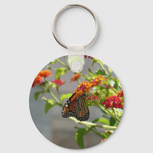 Porte-clés Monarque papillon sur Buddleia rouge