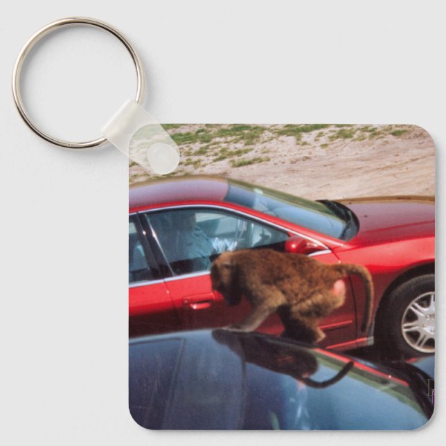 Porte-clés Monkey Business (Recto)
