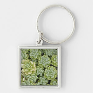 Porte-clés Motif de plante Sedum