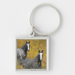 Porte-clés Moutarde et chevaux