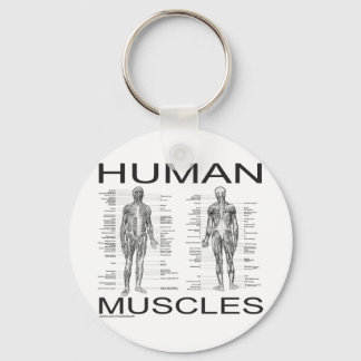 Porte-clés Muscles humains et anatomie