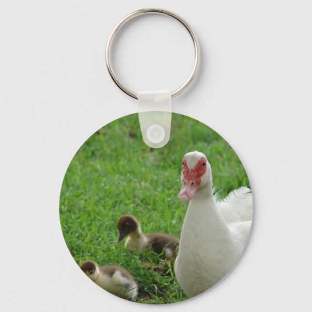 Porte-clés Muscovy Hen Et Canettes (Recto)