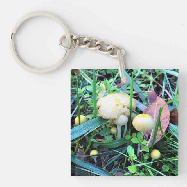 Porte-clés Mushrooms de l'Oregon (Devant)