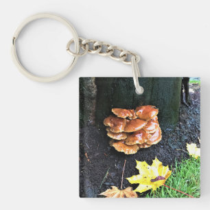 Porte-clés Mushrooms on a tree, Oregon