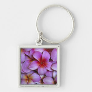 Porte-clés N.A., États-Unis, Maui, Hawaï. Fleurs de frangipan
