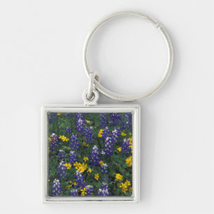 Porte-clés N.A., États-Unis, Texas, Marble Falls, Blue Bonnet