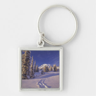 Porte-clés NA, États-Unis, Washington, Mt. Rainier NP, raquet