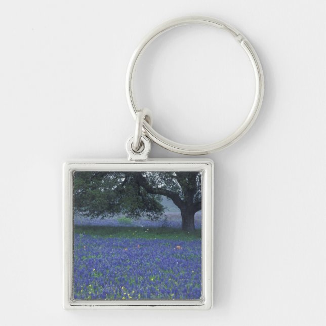 Porte-clés NA, Texas, Devine, Chêne et bleuets (Devant)