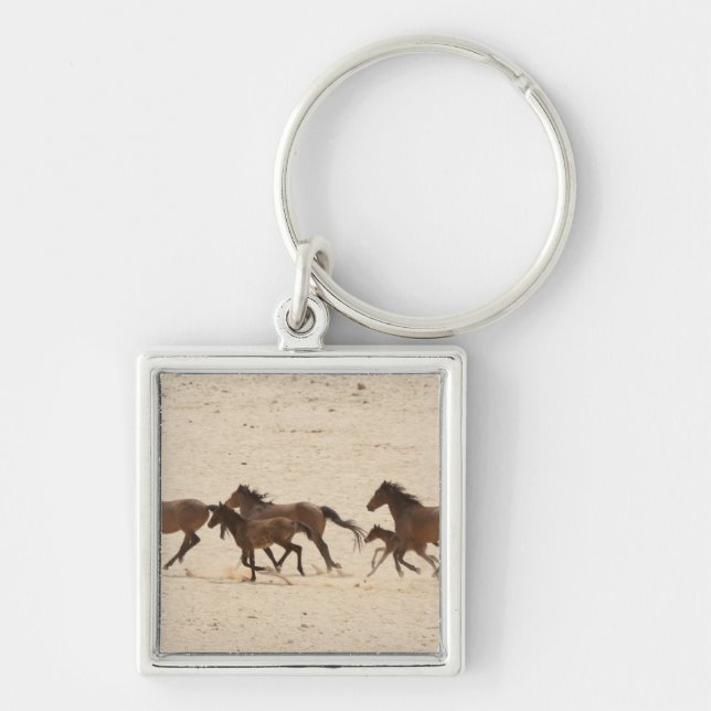 Porte-clés Namibie, Aus. Groupe de chevaux sauvages en train  (Devant)