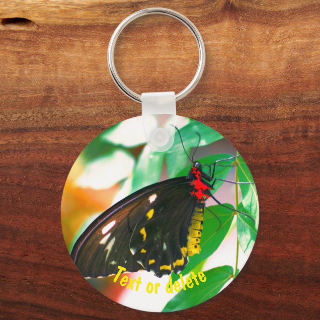 Porte-clés Nature du papillon noir personnalisée (Recto)