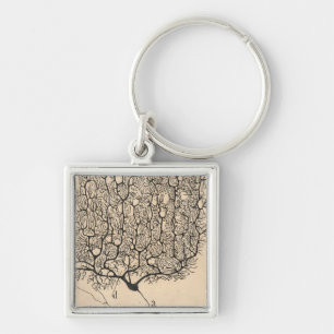 Porte-clés Neuron Drawing By Santiago Ramón Y Cajal