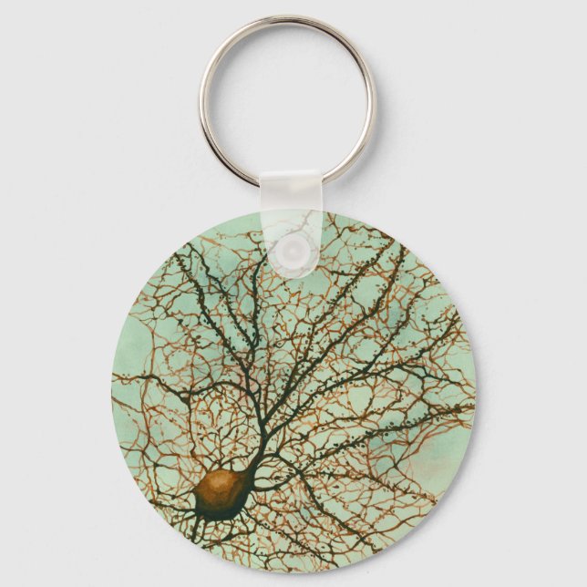 Porte-clés neurone hippocampal vert - Porte - clé (Recto)