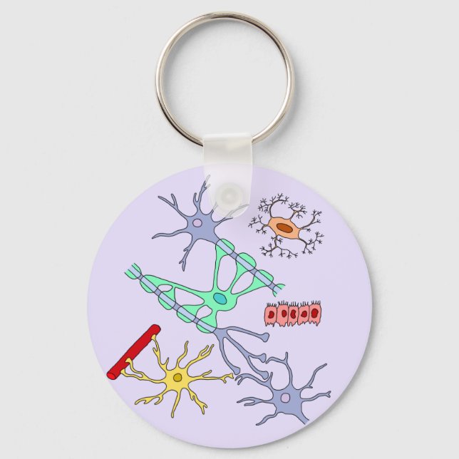 Porte-clés Neurones Et Glia (Recto)