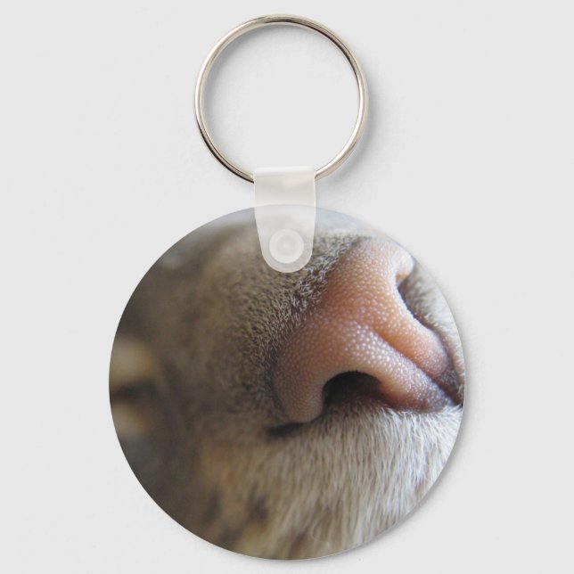 Porte-clés Nez de Kitty Fuzzy (Recto)