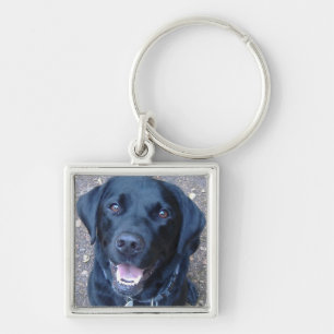 Porte-clés noir de chien de Labrador