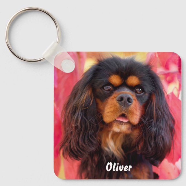 Porte-clés Noir et Tan Cavalier King Charles Spaniel Chien (Recto)