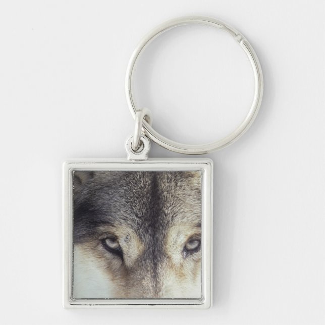 Porte-clés Nom latin : Lupus de Canis (Devant)