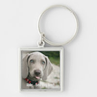Nom personnalisé de photo de chien de Weimaraner