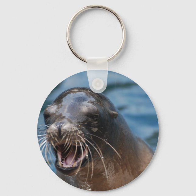 Porte-clés non défini (Recto)