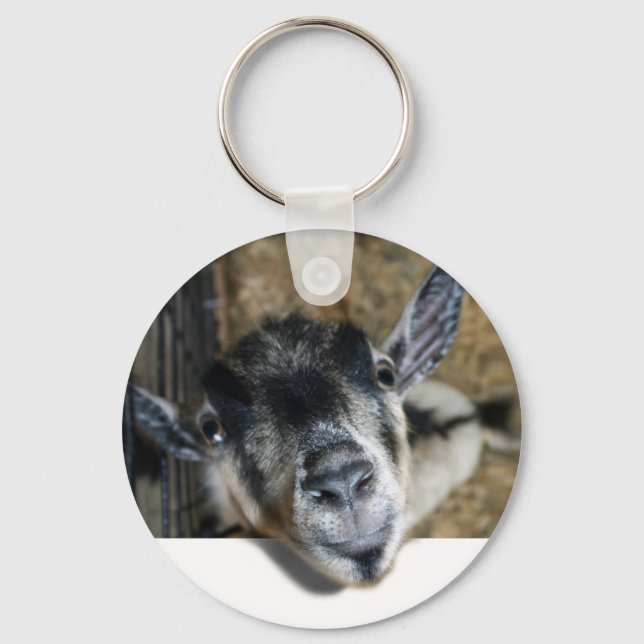 Porte-clés Nosy Goat En Regard (Recto)