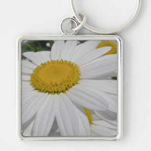 Porte-clés Objets floraux Fleurs sauvages Oxeye Daisy