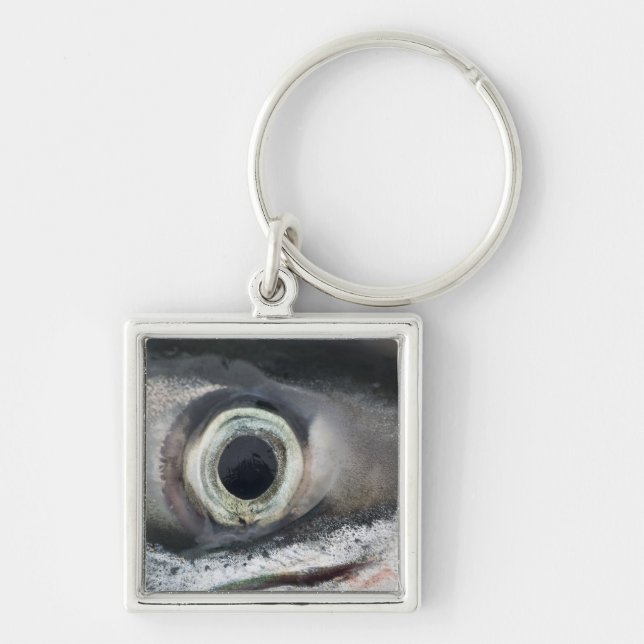 Porte-clés Oeil saumon (Devant)