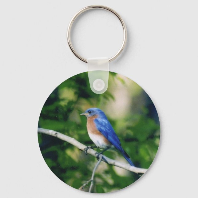 Porte-clés Oiseau bleu (Recto)