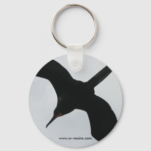 Porte-clés Oiseau de frégate (Fragata), îles de Galapagos 2