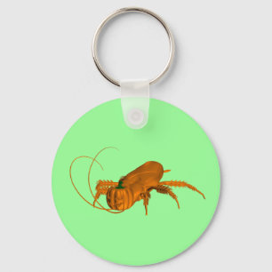 Porte-clés Orange Cockroach