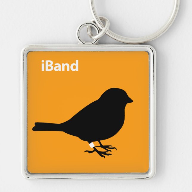 Porte-clés Orange iBand (Devant)