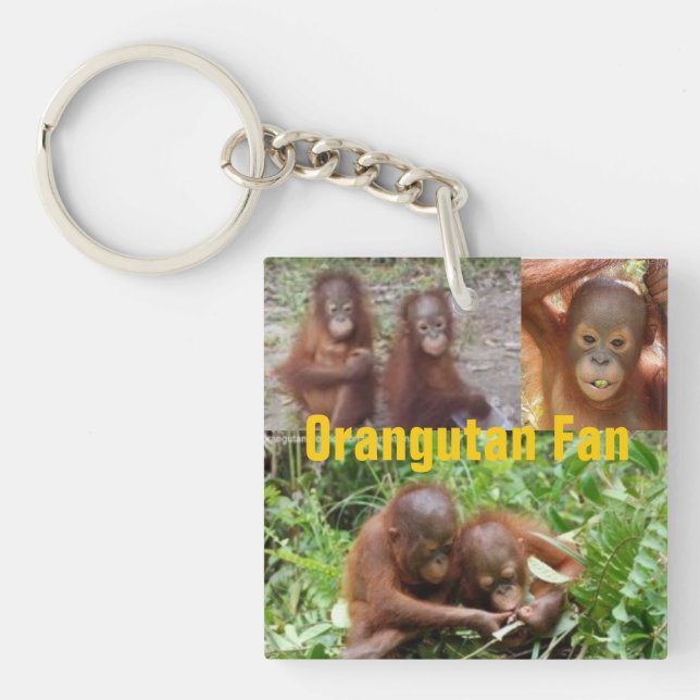Porte-clés Orangs-outans de bébé au Bornéo (Devant)