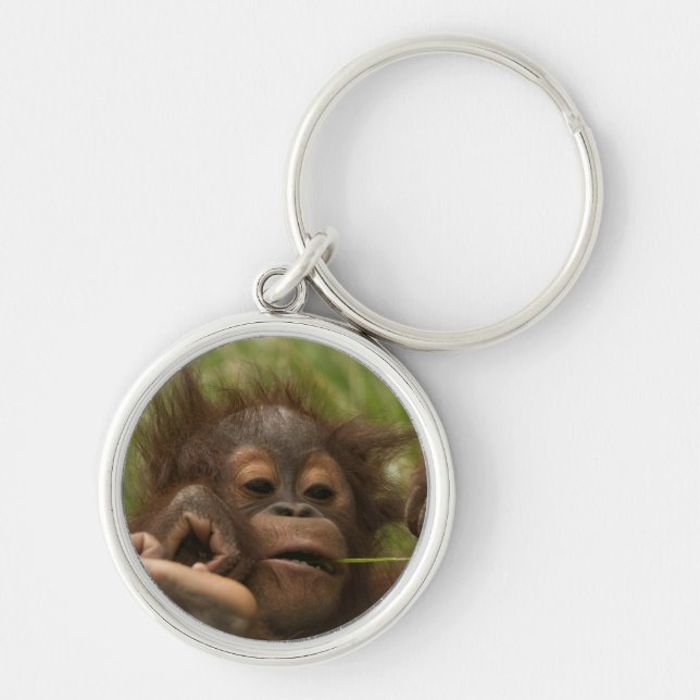 Porte-clés Orangutan Baby (Devant)