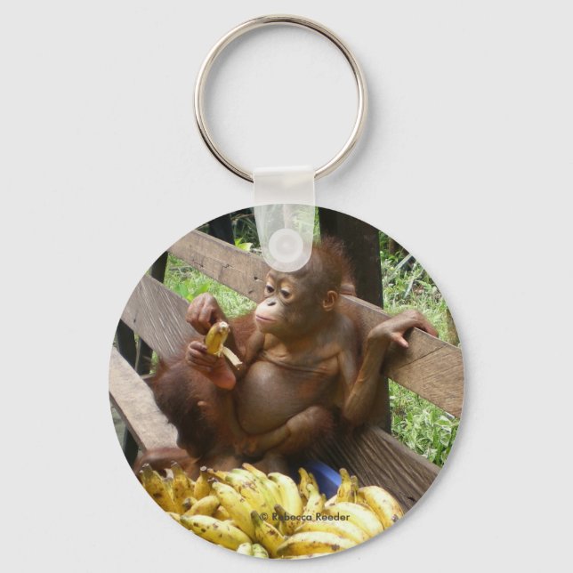 Porte-clés Orangutan Baby in BorneoButton Porte - clé (Recto)