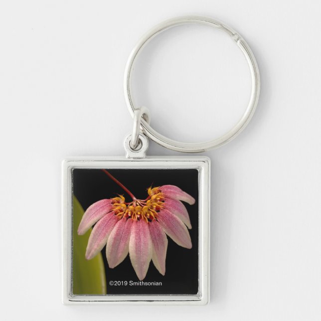 Porte-clés Orchidée rose tropicale (Devant)