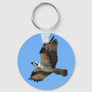 Porte-clés Osprey Bird Porte - clé