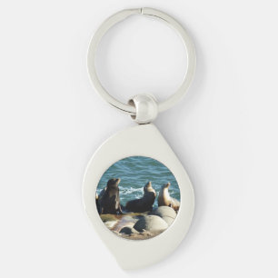 Porte-clés Otaries de San Diego