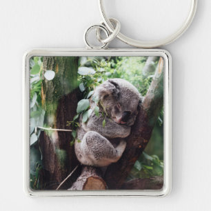 Porte-clés Ours de koala mignon détendant dans un arbre