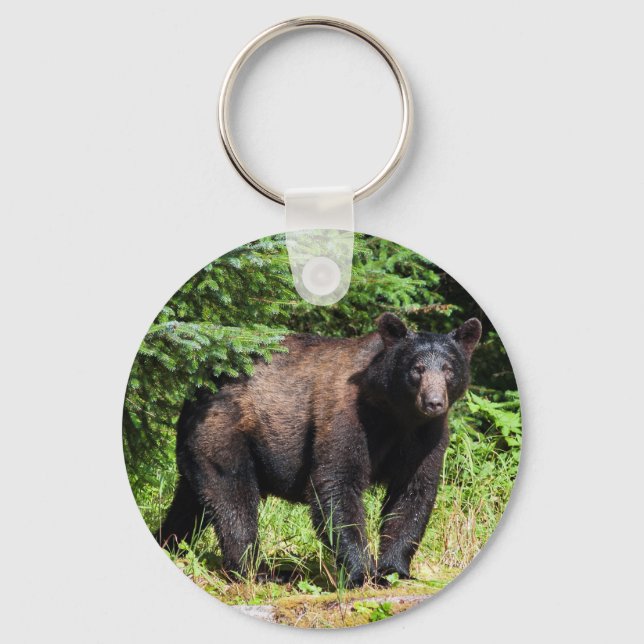 Porte-clés Ours noir Alpha (Recto)